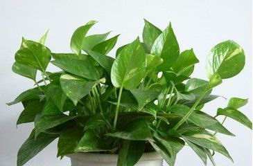 北京办公室装修设计公司