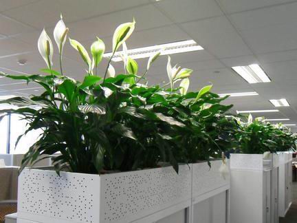 北京办公室装修设计公司